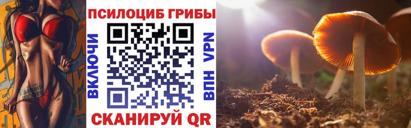 Галлюциногенные грибы мухоморы  Купить закладки  Сольцы 